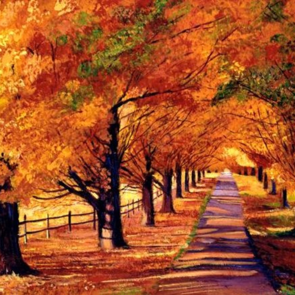 Meet your Posher, Lynn